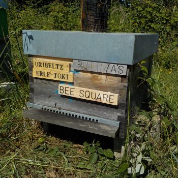 Bee Square