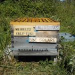 les-colmenes-de-tate-asturias-abejas-colmenas-miel-bee-square