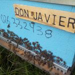 les-colmenes-de-tate-asturias-abejas-colmenas-miel-don-javier