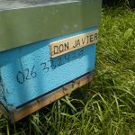 les-colmenes-de-tate-asturias-abejas-colmenas-miel-don-javier (3)
