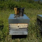 les-colmenes-de-tate-asturias-abejas-colmenas-miel-rayan (2)