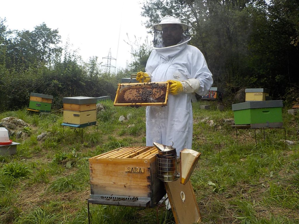 les-colmenes-de-tate-asturias-abejas-colmenas-miel-sara (2)