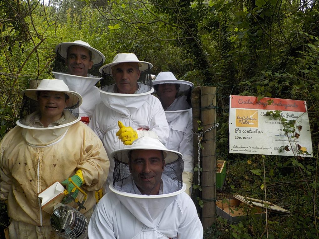 les-colmenes-de-tate-asturias-abejas-practicas-colmenar