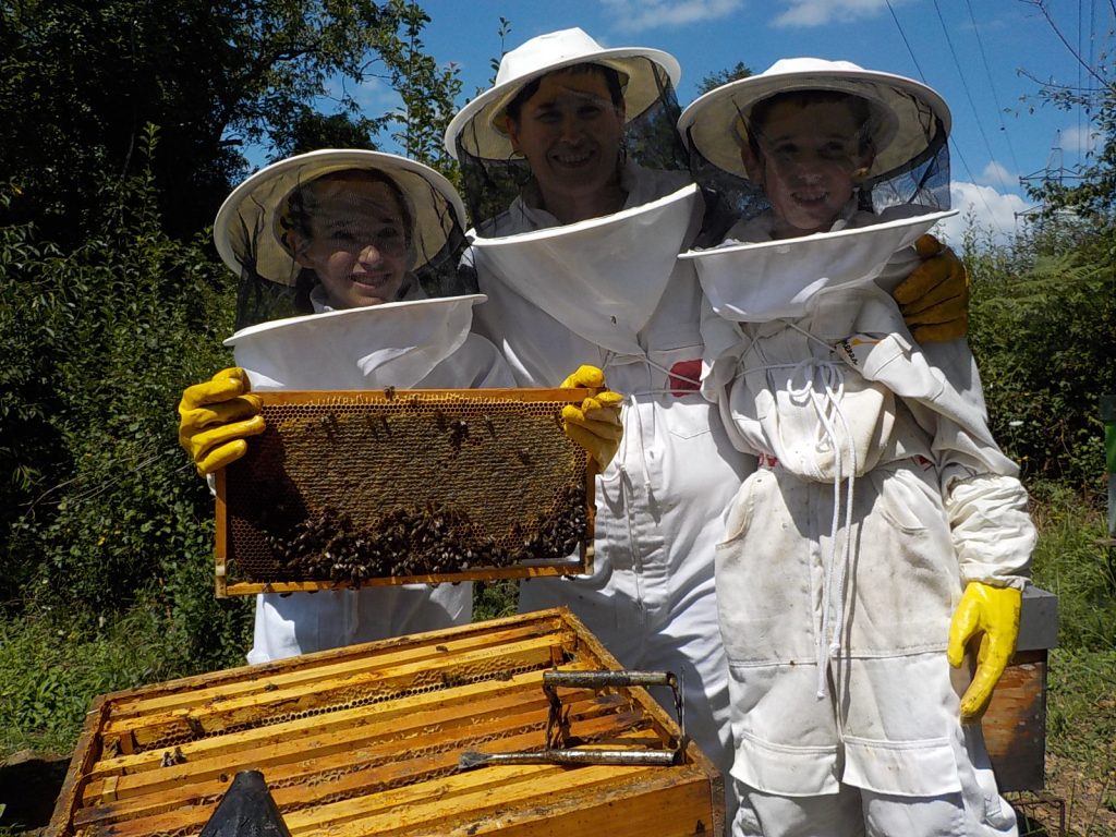 les-colmenes-de-tate-asturias-abejas-colmenas-miel (4)