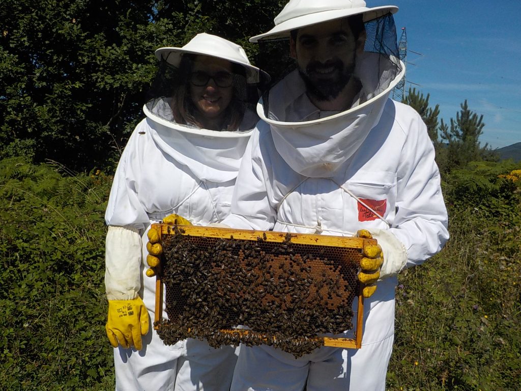 les-colmenes-de-tate-asturias-abejas-colmenas-miel-erle-toki
