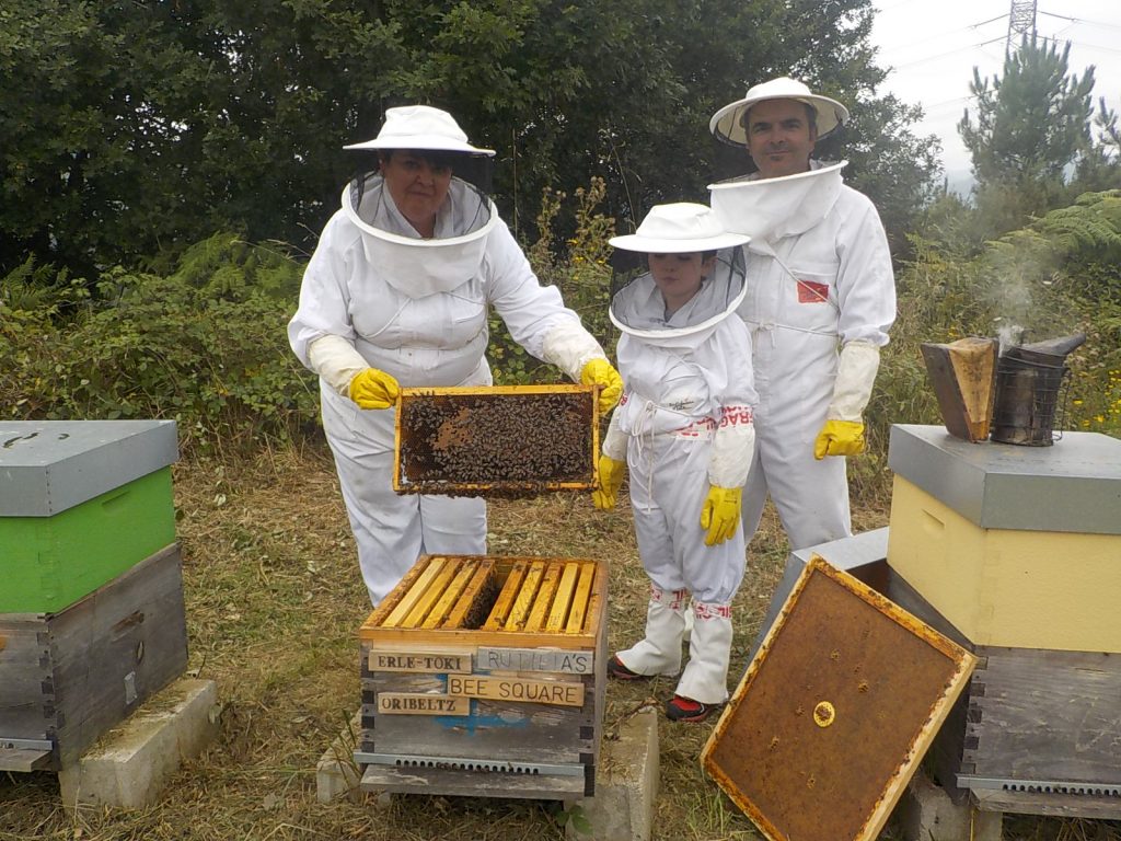 les-colmenes-de-tate-asturias-abejas-colmenas-miel-padrinos-oribeltz (4)
