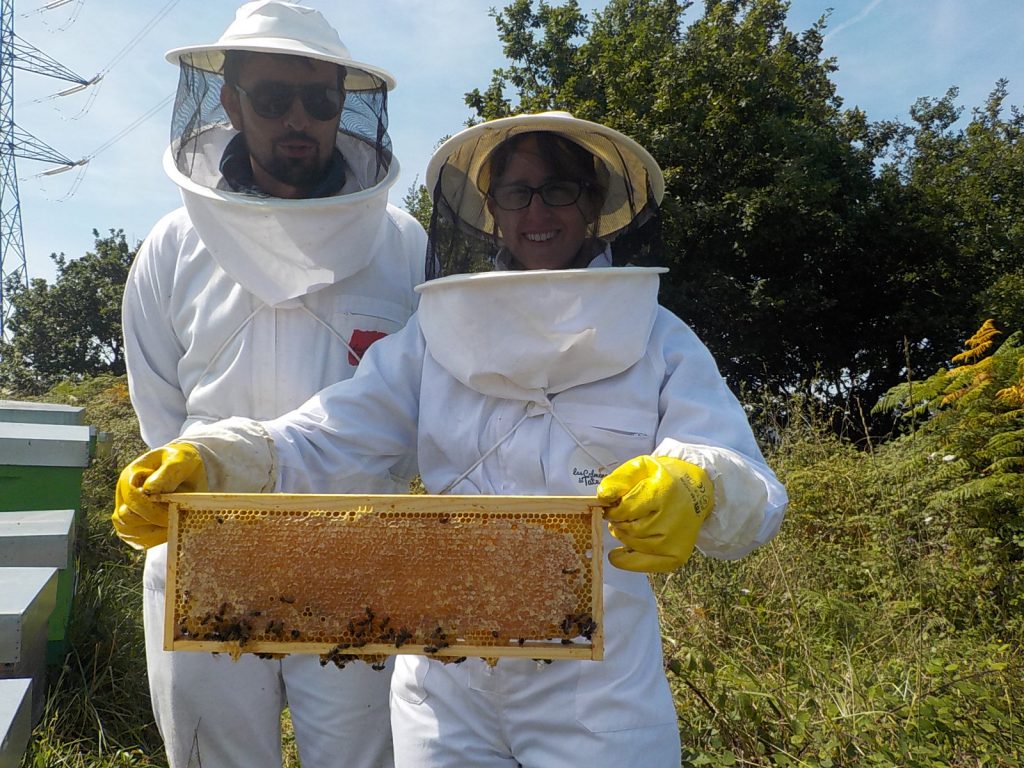 les-colmenes-de-tate-asturias-abejas-colmenas-miel-padrinos-trisolaris (5)