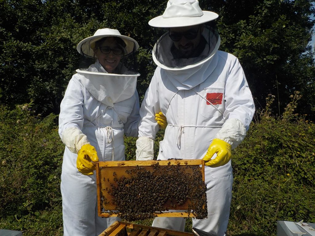 les-colmenes-de-tate-asturias-abejas-colmenas-miel-trisolaris