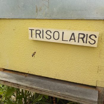 Trisolaris