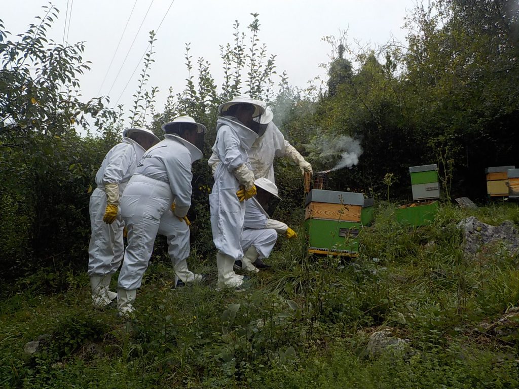les-colmenes-de-tate-asturias-abejas-visita-padrinos-5-pucelanos (2)