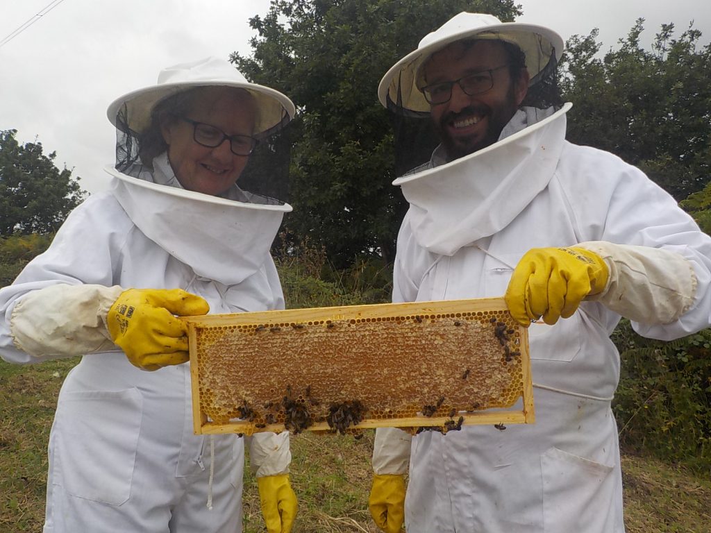 les-colmenes-de-taet-asturias-visita-abejas-padrinos-de-bee-black-family