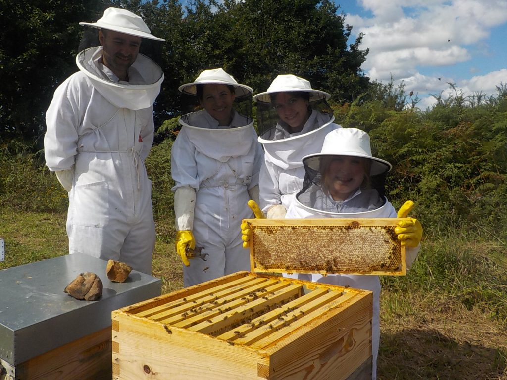 les-colmenes-de-tate-asturias-abejas-colmenas-miel-visita-padrinos-la-campa