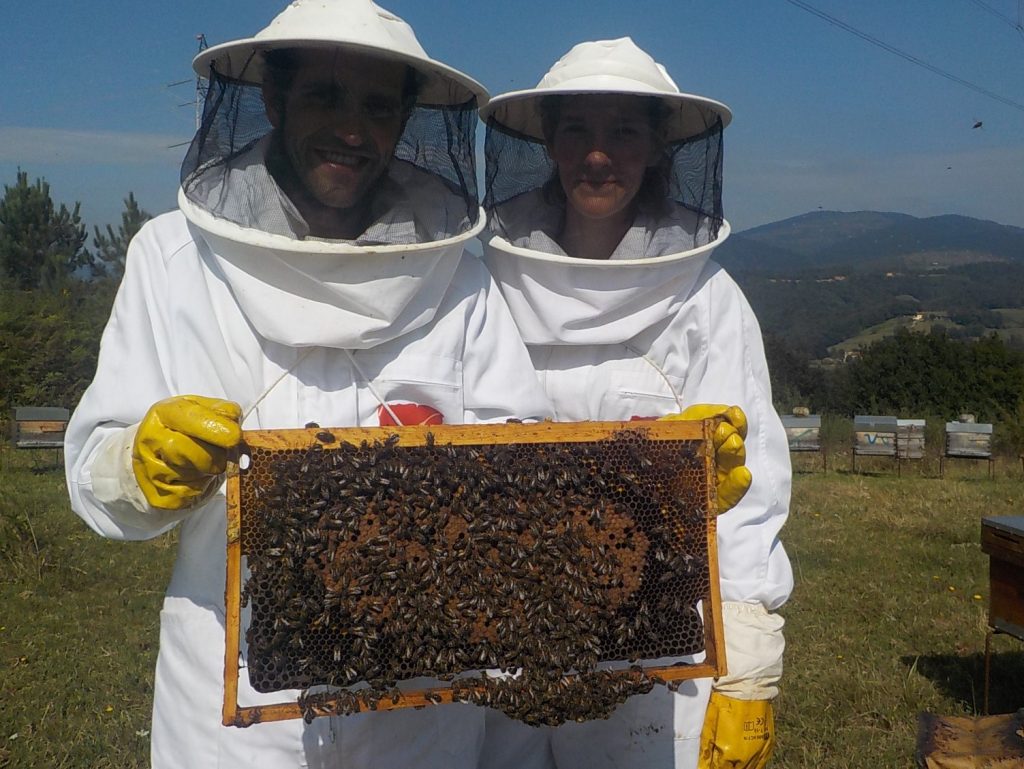 les-colmenes-de-tate-asturias-abejas-colmenas-visita-padrinos-colmena-asturlusa