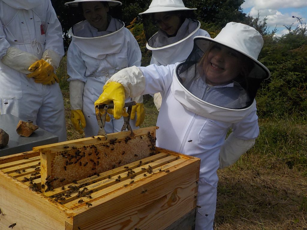 les-colmenes-de-tate-asturias-abejas-colmenas-visita-padrinos-la-campa (2)