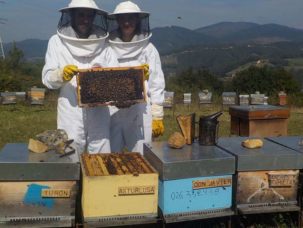 les-colmenes-de-tate-asturias-abejas-visita-padrinos-colmena-asturlusa