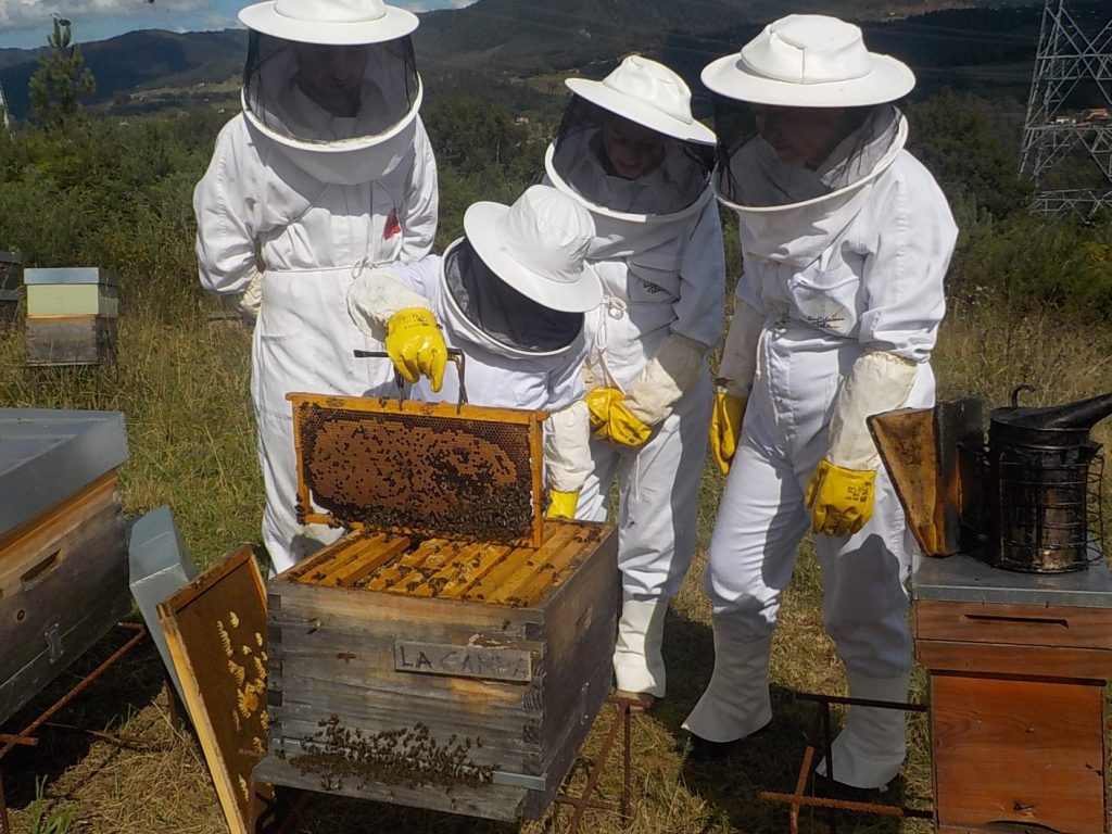 les-colmenes-de-tate-asturias-abejas-visita-padrinos-lacampa.2