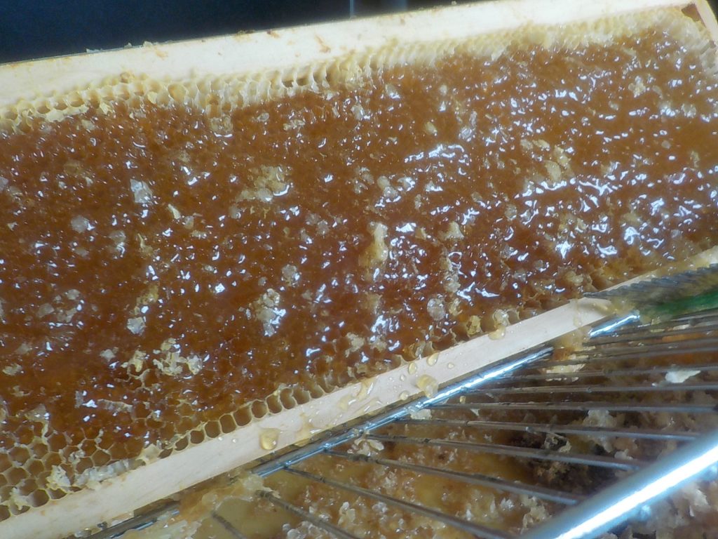 les-colmenes-de-tate-asturias-abejas-miel-cosecha-2019 (2)