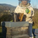 les colmenes de tate asturias abejas colmenas miel