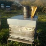 les-colmenes-de-tate-asturias-abejas-colmenas-miel (5)