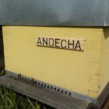 Andecha