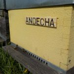 les-colmenes-de-tate-asturias-abejas-colmenas-miel (2)