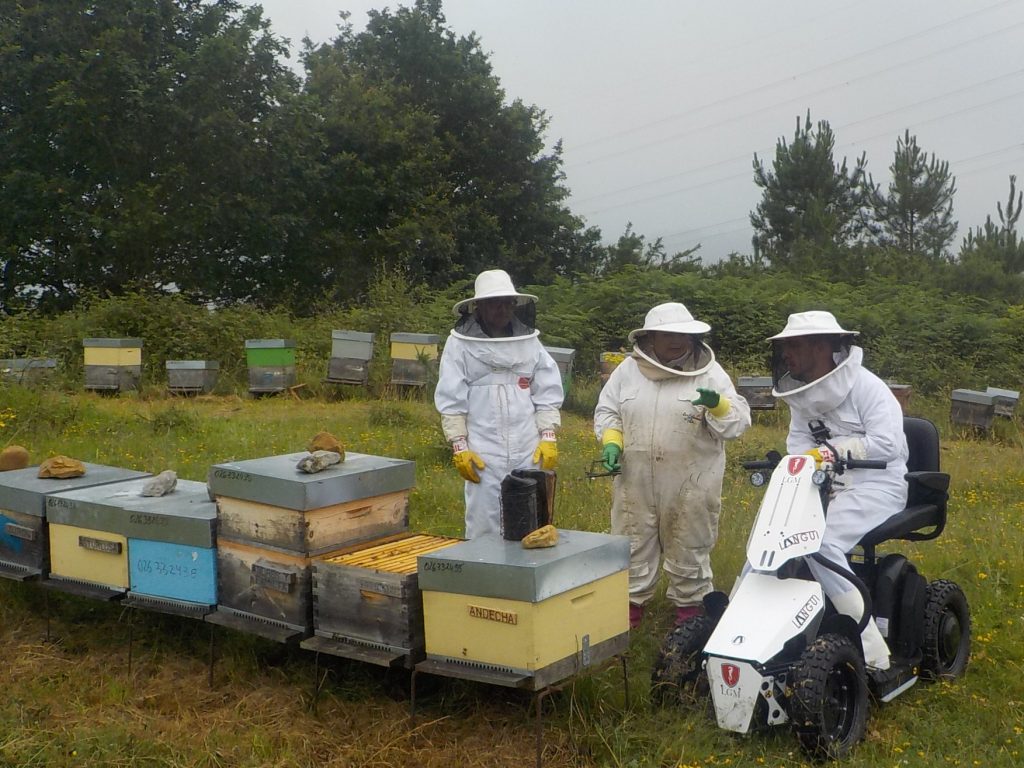 les-colmenes-de-tate-asturias-abejas-colmenas-miel (8)