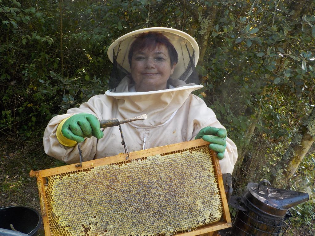 les-colmenes-de-tate-asturias-abejas-colmenas-miel (9)