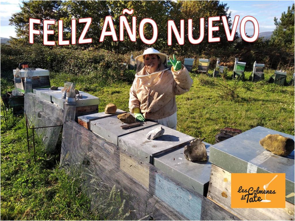 les-colmenes-de-tate-asturias-abejas-colmenas-miel-velutina-ano-nuevo