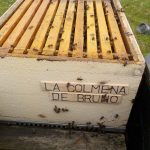 http://lescolmenesdetate.com/wp-content/uploads/2021/03/les-colmenes-de-tate-asturias-abejas-colmenas-miel-4-1.jpg
