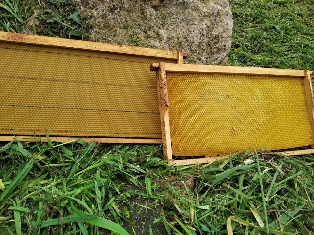 les-colmenes-de-tate-asturias-abejas-colmenas-miel-cera