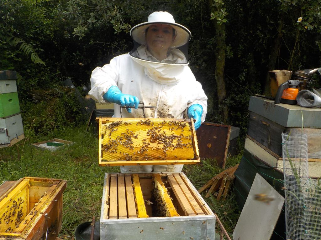 les-colmenes-de-tate-asturias-abejas-colmenas-historia (3)