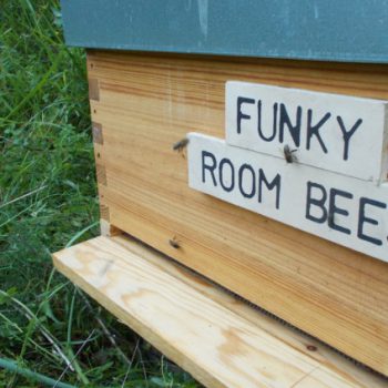 Funky Room Bees