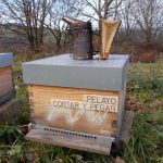 les-colmenes-de-tate-asturias-abejas-colmenas-miel-3-min (1)