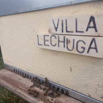 Villa Lechuga