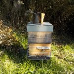 les-colmenes-de-tate-asturias-abejas-colmenas-miel-one-love-3
