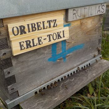 Oribeltz y Erle-Toki