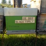 les-colmenes-de-tate-asturias-abejas-colmenas-de-bee-black-family