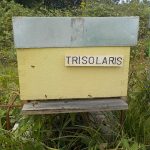 les-colmenes-de-tate-asturias-abejas-colmenas-miel-colmena-trisolaris