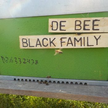 De Bee Black Family