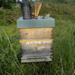 les-colmenes-de-tate-asturias-abejas-colmenas-miel (3)