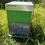 les-colmenes-de-tate-asturias-abejas-colmenas-miel (3)